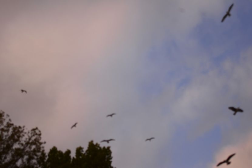  - 2019 18 20 octombrie 2019 CONSTANTA LO