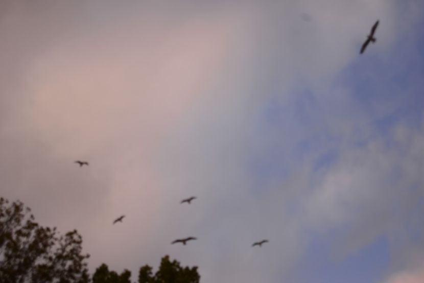  - 2019 18 20 octombrie 2019 CONSTANTA LO