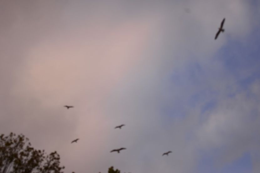  - 2019 18 20 octombrie 2019 CONSTANTA LO