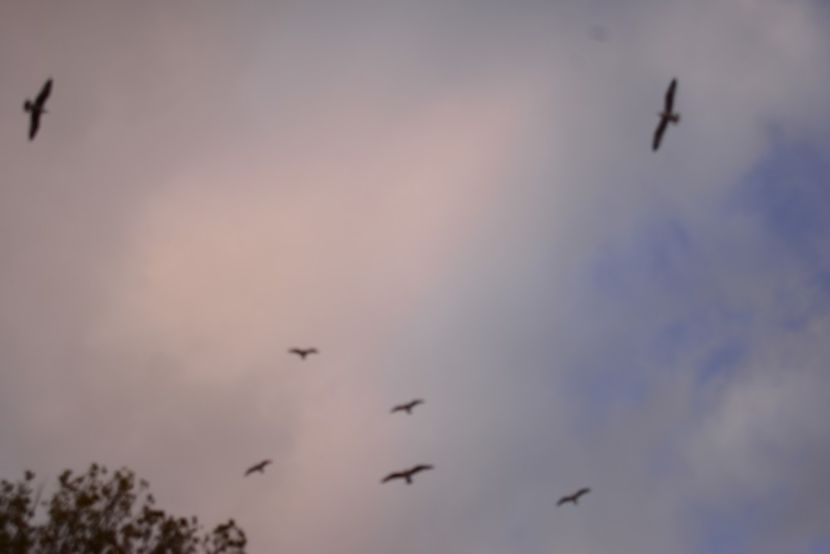  - 2019 18 20 octombrie 2019 CONSTANTA LO