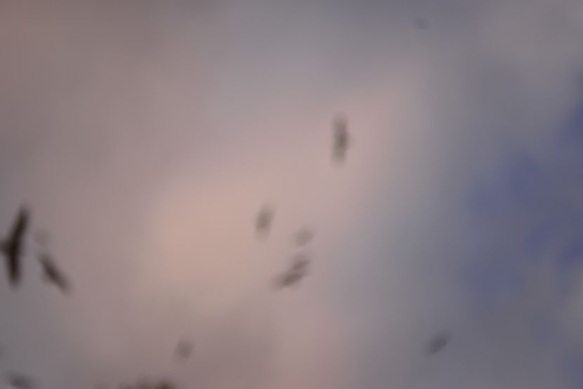  - 2019 18 20 octombrie 2019 CONSTANTA LO