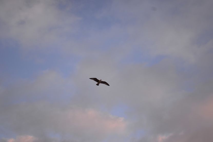  - 2019 18 20 octombrie 2019 CONSTANTA LO