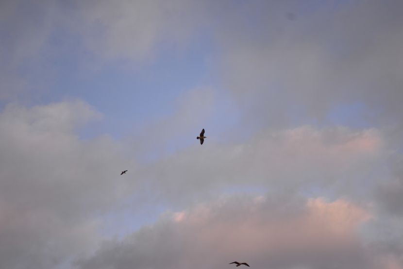  - 2019 18 20 octombrie 2019 CONSTANTA LO