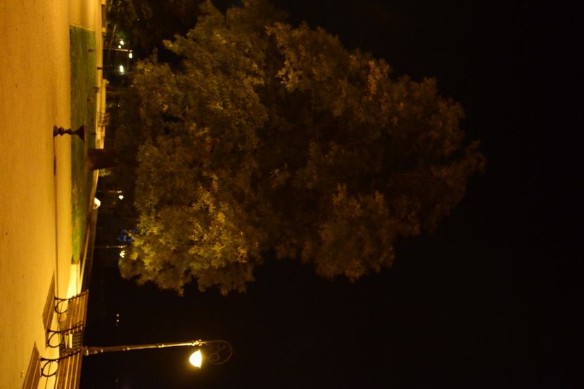  - 2019 18 20 octombrie 2019 CONSTANTA LO