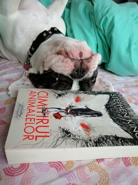  - 0 A mea minunată prezentare