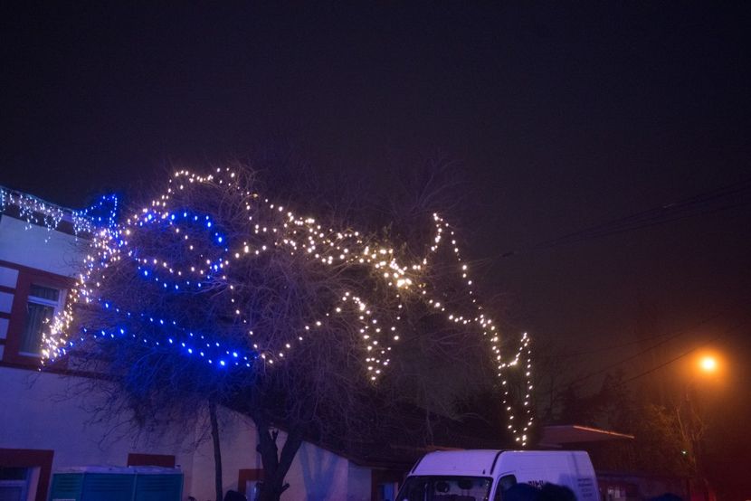  - craciun 2019 chitila