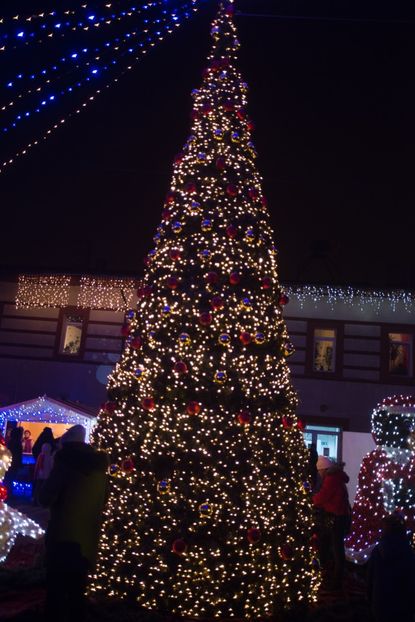  - craciun 2019 chitila