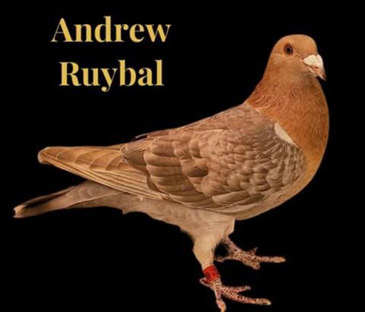  - NU AMI APARTIN 2020