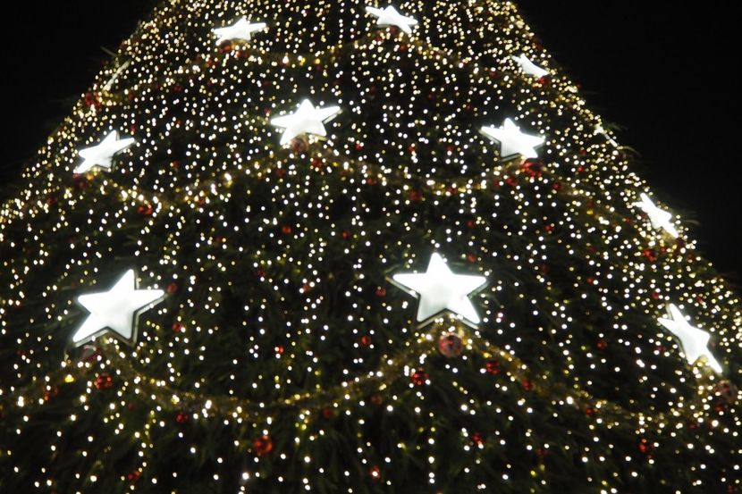 P1010506 - poze craciun 2019 viv