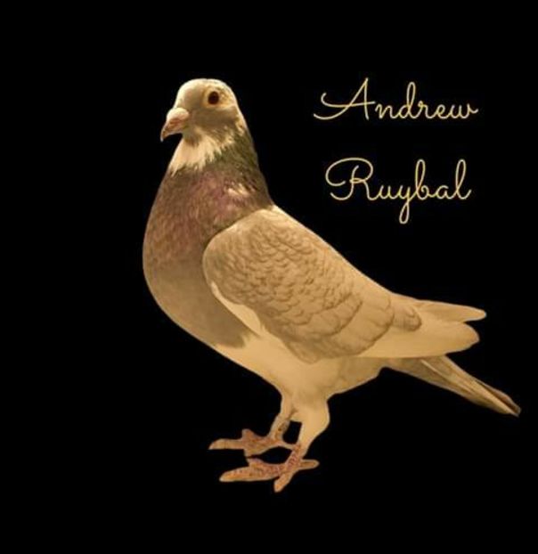  - NU AMI APARTIN 2020