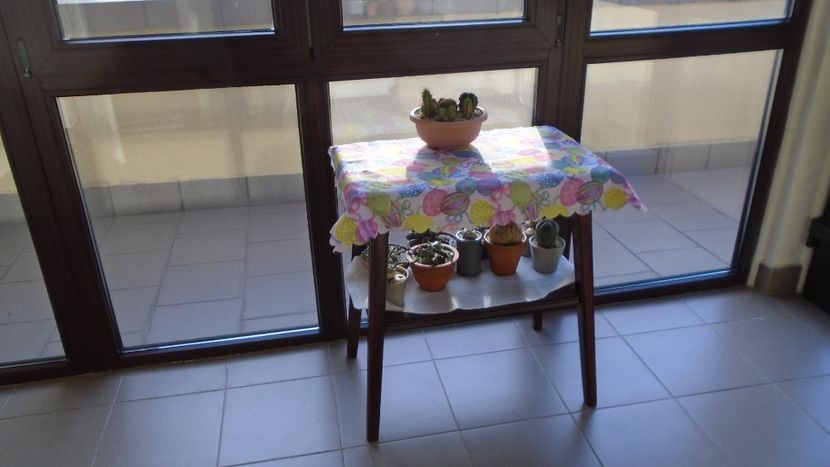 5 apr. 2020: Din casa in balconul acoperit - Caudiciforme - pachycaule si bulboase 2020