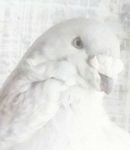 112109406_ILOFJSY - - A - A - A - A- W A R N I N G !