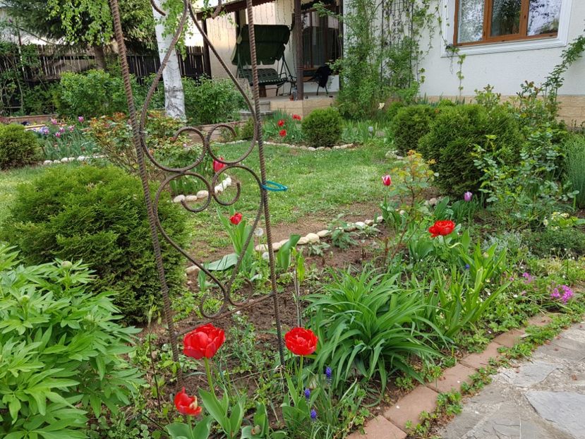  - 2020 Aprilie Gradina Rozelor
