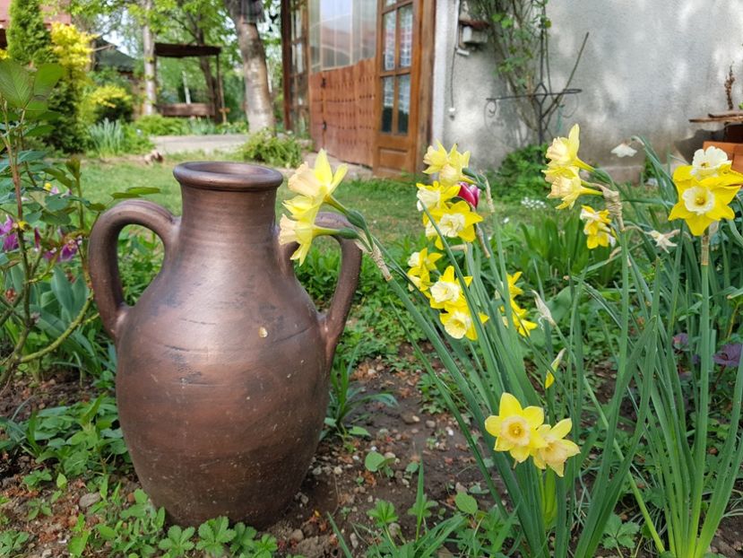  - 2020 Mart-Apr_Idilic garden