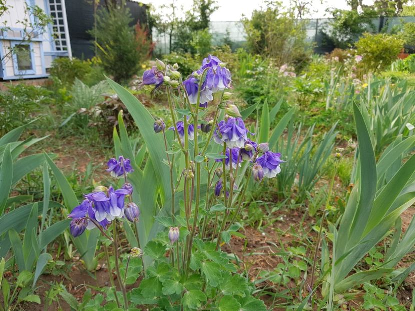  - 2020 Mart-Apr_Idilic garden