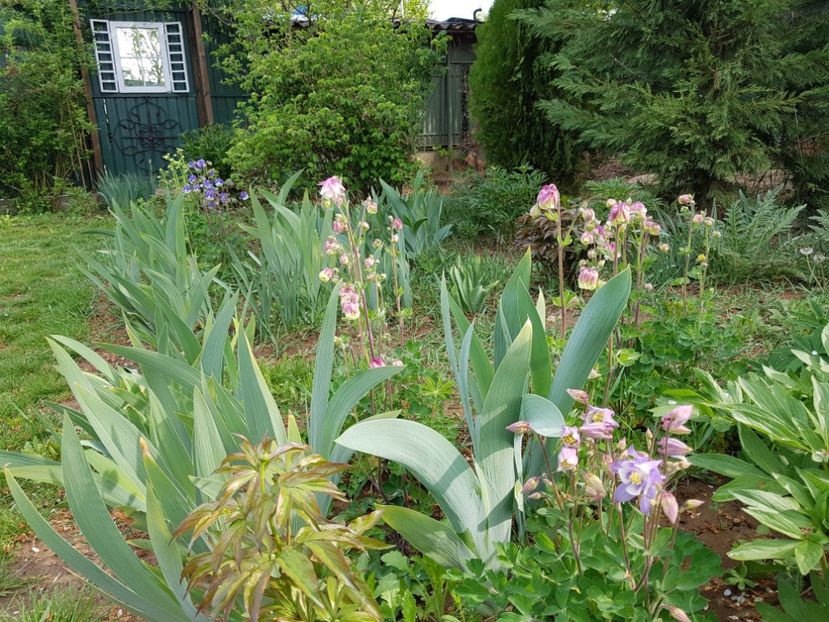  - 2020 Mart-Apr_Idilic garden