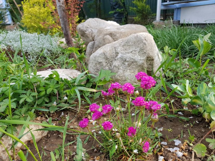  - 2020 Mart-Apr_Idilic garden