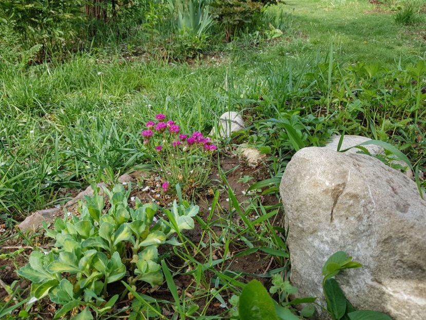  - 2020 Mart-Apr_Idilic garden