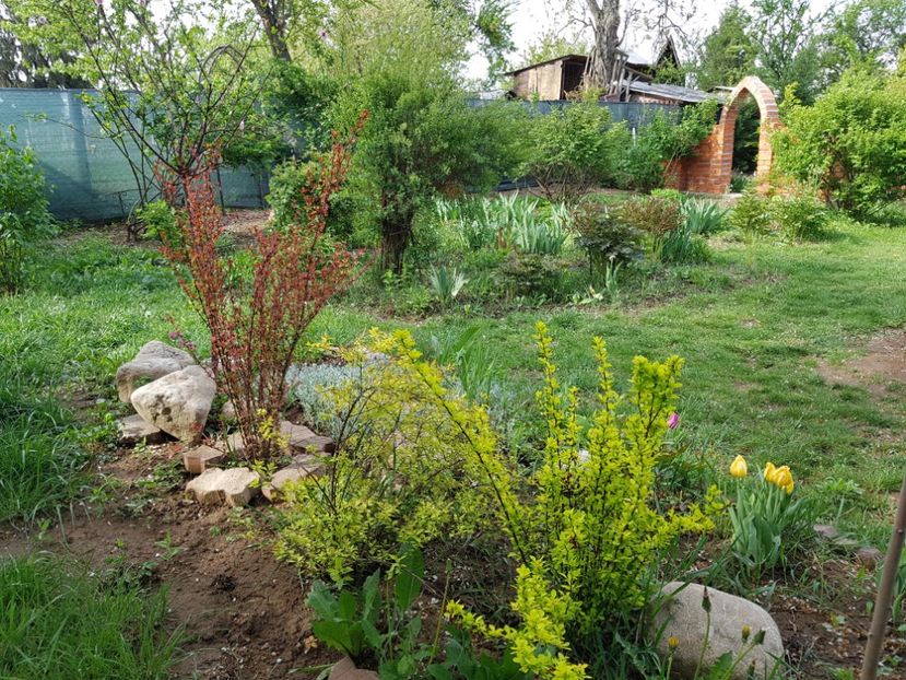  - 2020 Mart-Apr_Idilic garden