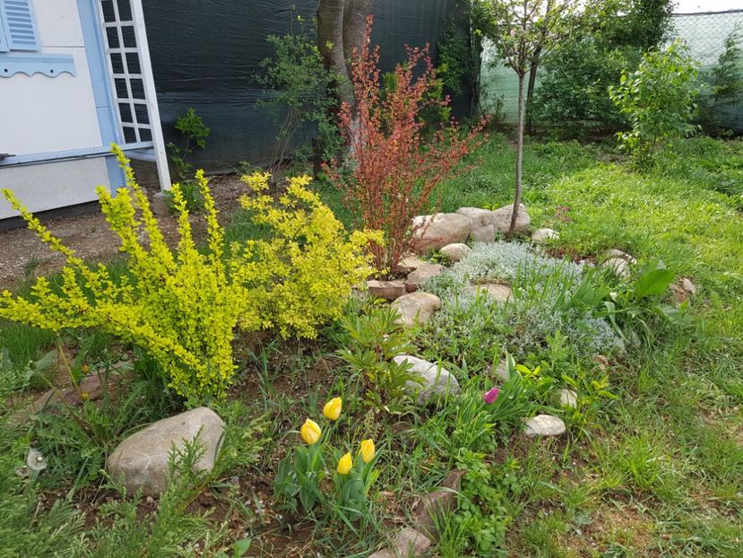  - 2020 Mart-Apr_Idilic garden