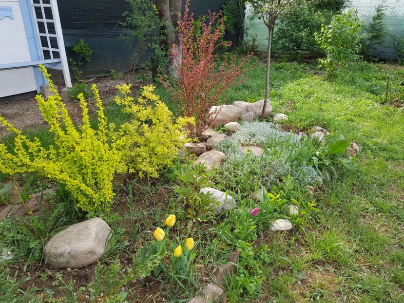  - 2020 Mart-Apr_Idilic garden