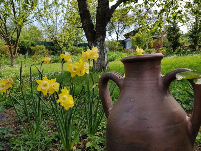  - 2020 Mart-Apr_Idilic garden