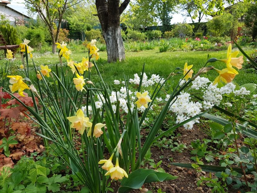  - 2020 Mart-Apr_Idilic garden