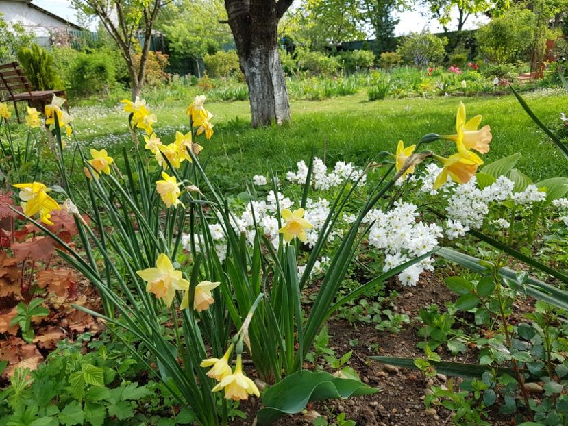  - 2020 Mart-Apr_Idilic garden