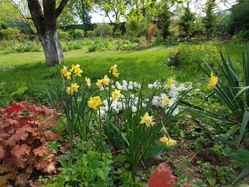  - 2020 Mart-Apr_Idilic garden