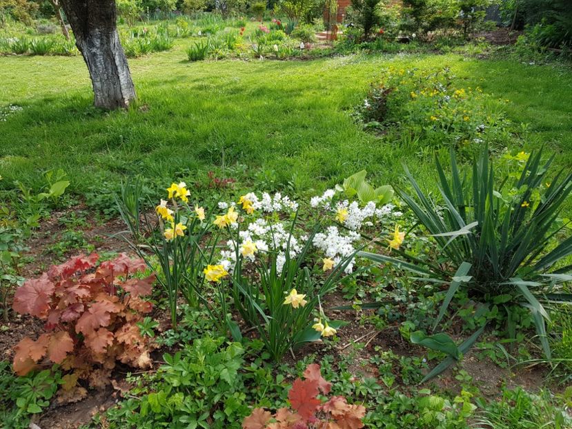  - 2020 Mart-Apr_Idilic garden