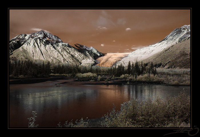 Exit_Glacier_IR_by_tisbone