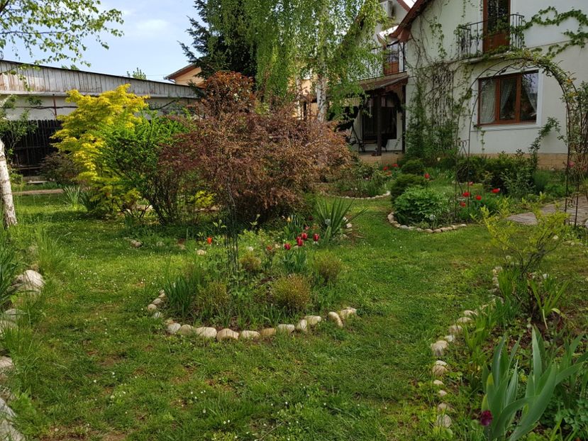  - 2020 Aprilie Gradina Rozelor
