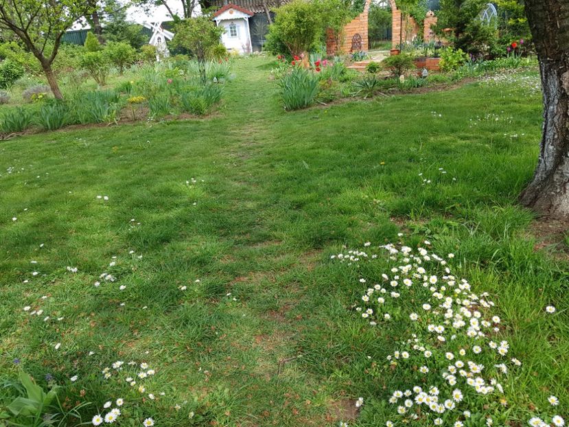  - 2020 Mart-Apr_Idilic garden