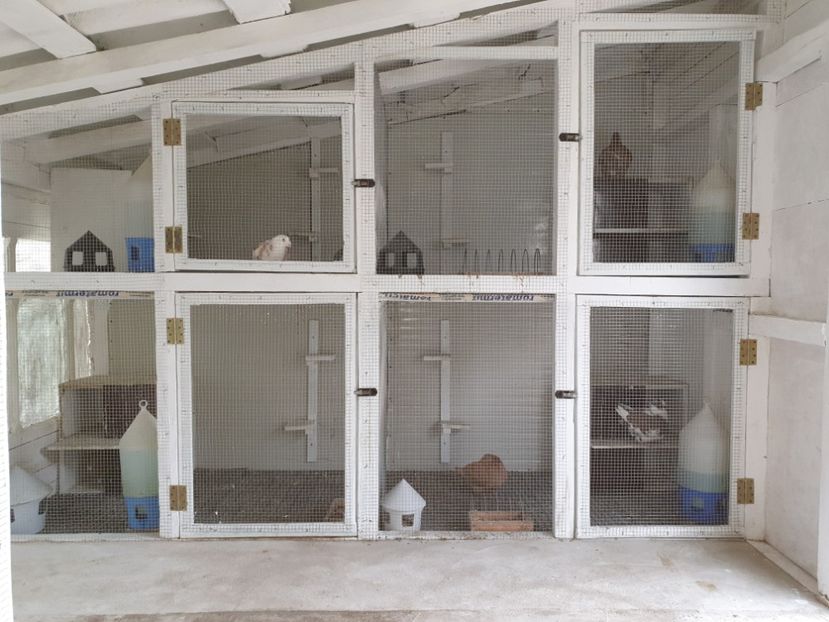  - Noua_casa_a_porumbeilor_cv_fitza_pe 2016