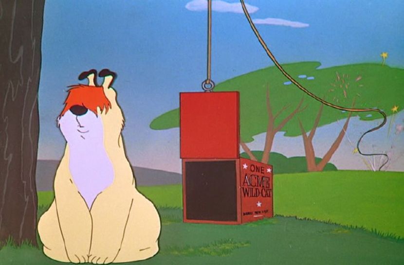 Looney Tunes - Looney Tunes