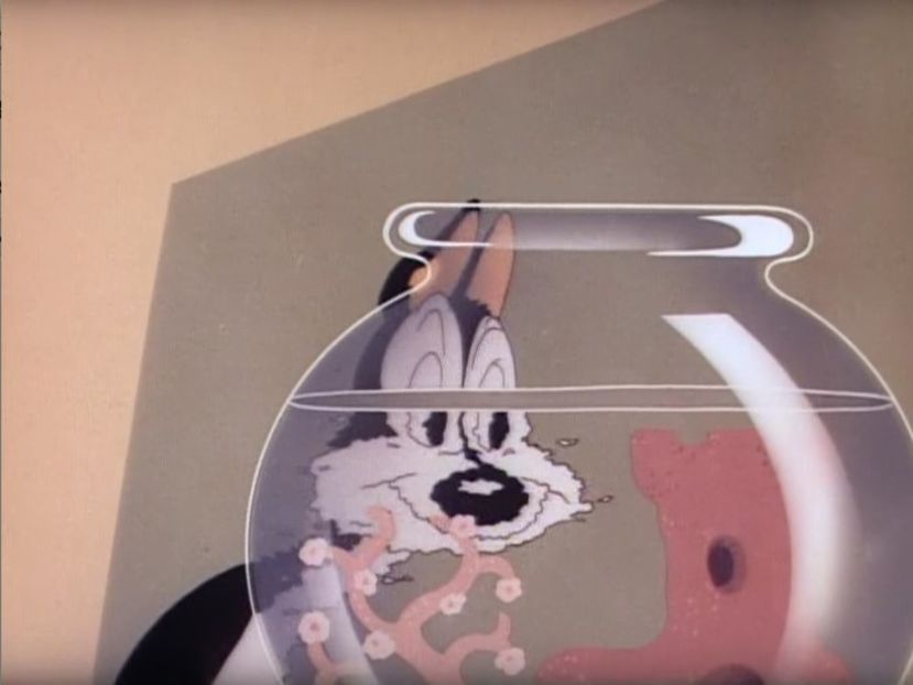 Looney Tunes - Looney Tunes