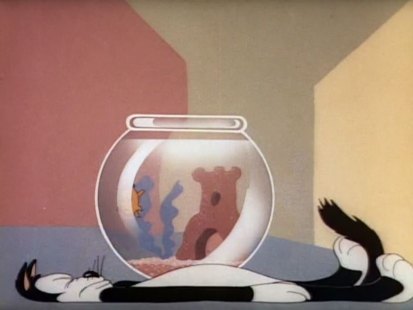 Looney Tunes - Looney Tunes