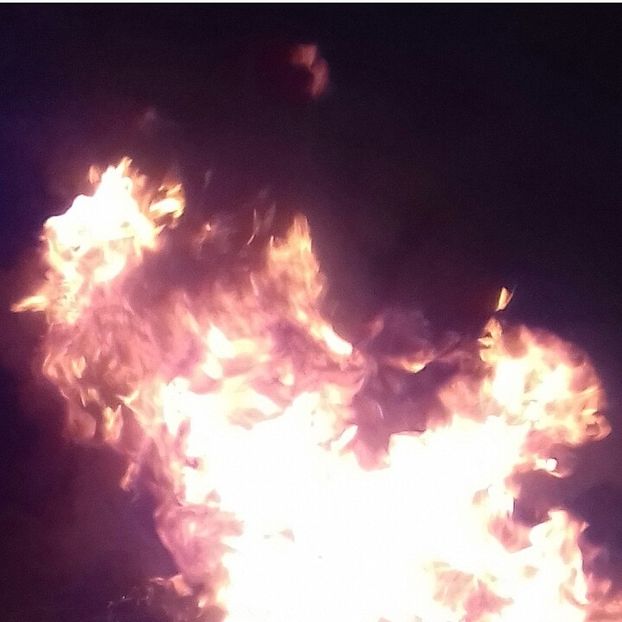  - - O - Fotografii x