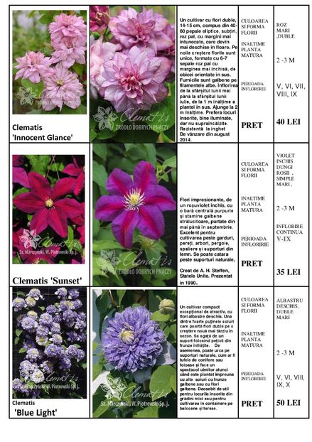  - OFERTA PRIMAVARA -VARA 2020