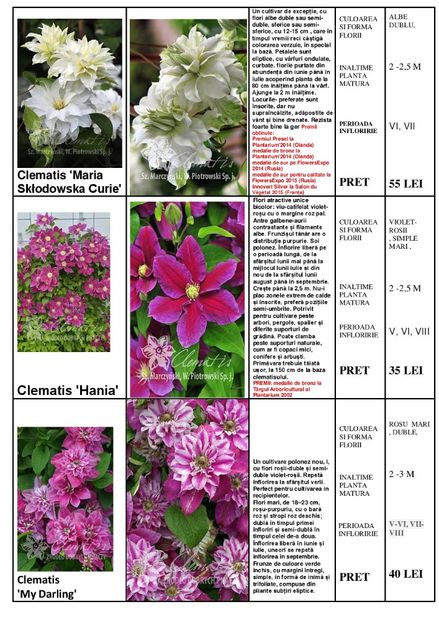  - OFERTA PRIMAVARA -VARA 2020