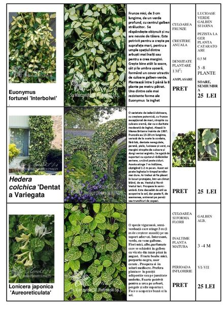  - OFERTA PRIMAVARA -VARA 2020