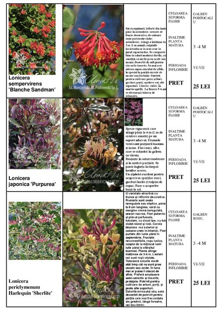  - OFERTA PRIMAVARA -VARA 2020