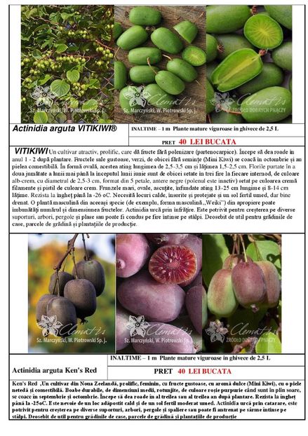  - OFERTA PRIMAVARA -VARA 2020