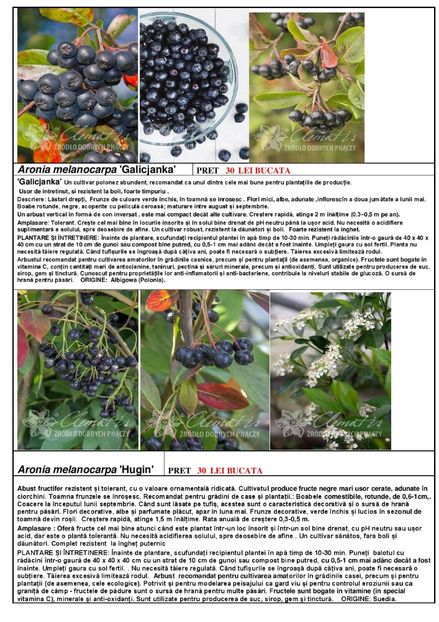  - OFERTA PRIMAVARA -VARA 2020