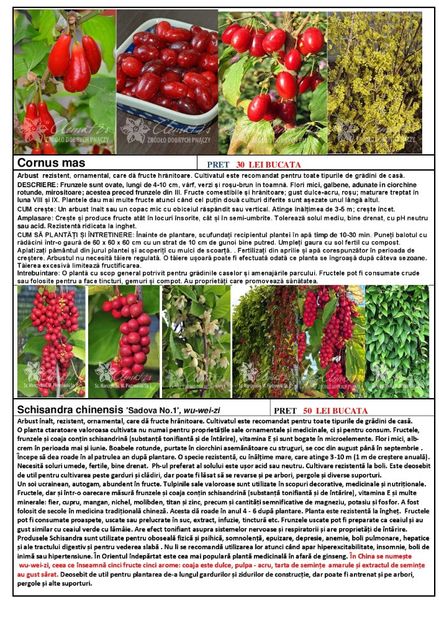  - OFERTA PRIMAVARA -VARA 2020