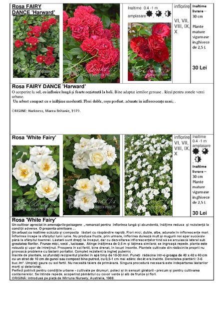  - OFERTA PRIMAVARA -VARA 2020