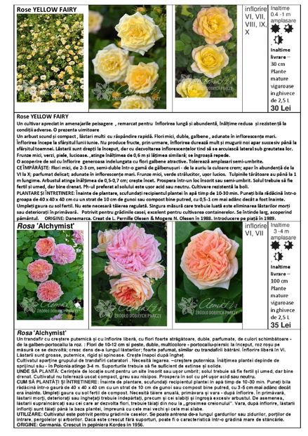  - OFERTA PRIMAVARA -VARA 2020