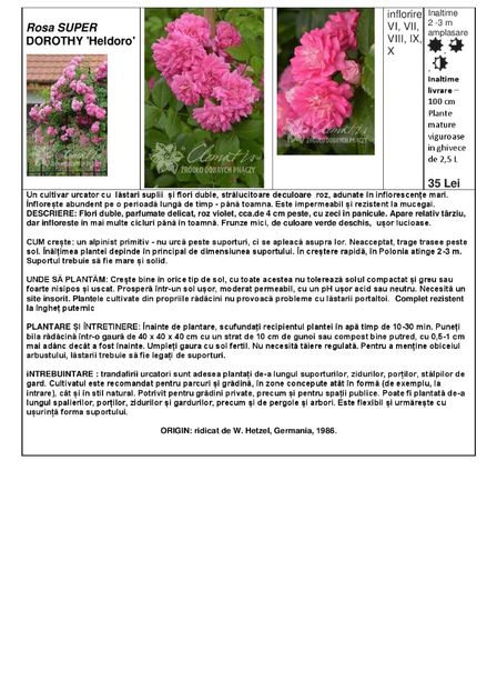  - OFERTA PRIMAVARA -VARA 2020