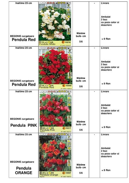  - OFERTA PRIMAVARA -VARA 2020