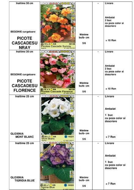  - OFERTA PRIMAVARA -VARA 2020